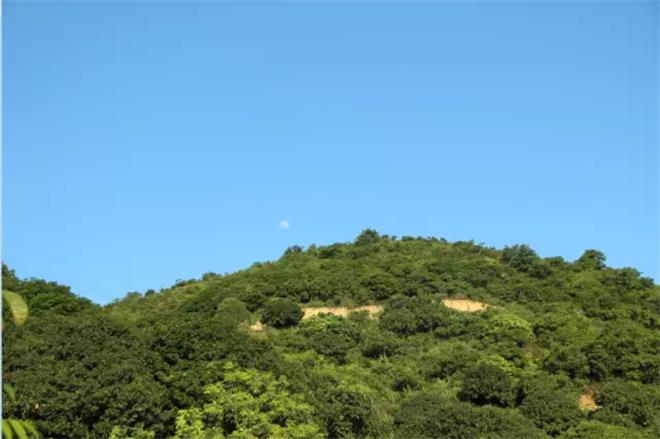 保护园20.jpg 保护园20.jpg