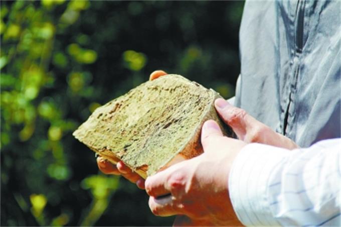 111111.jpg 111111.jpg