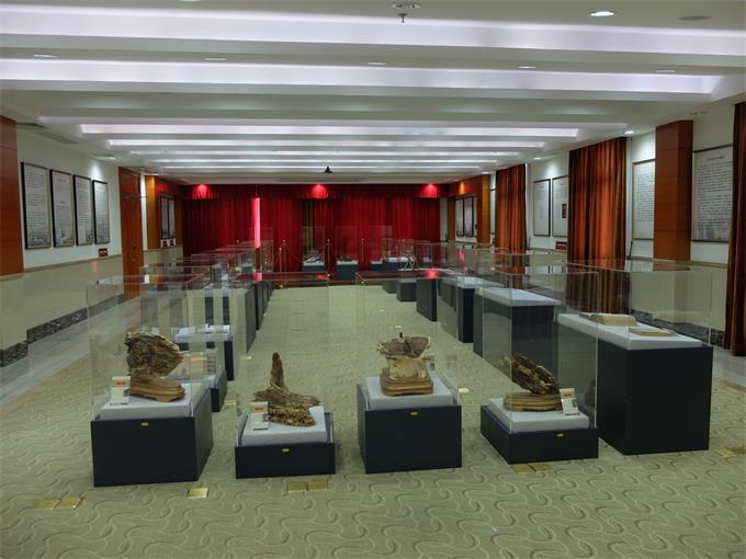 展厅展示.jpg 展厅展示.jpg