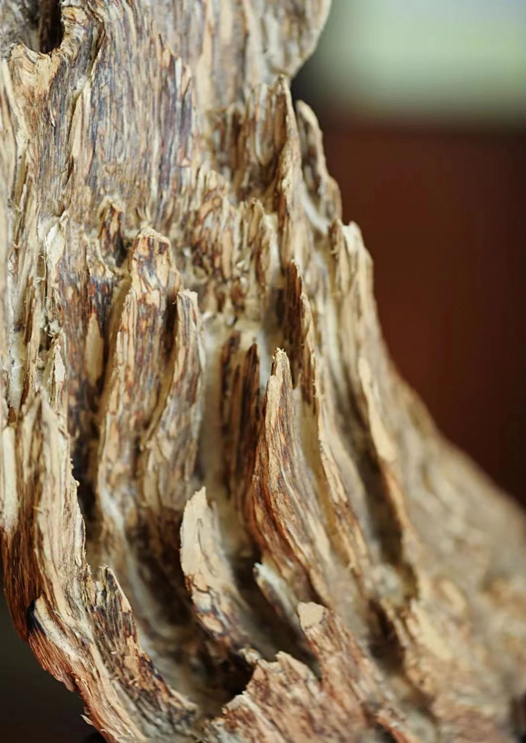 莞香|沉静内敛的精神传承-品香悟道-广东尚正堂集团｜莞香非物质文化遗产