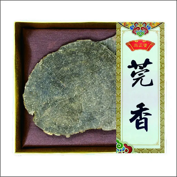 2017��������ݸ�����Ƭ